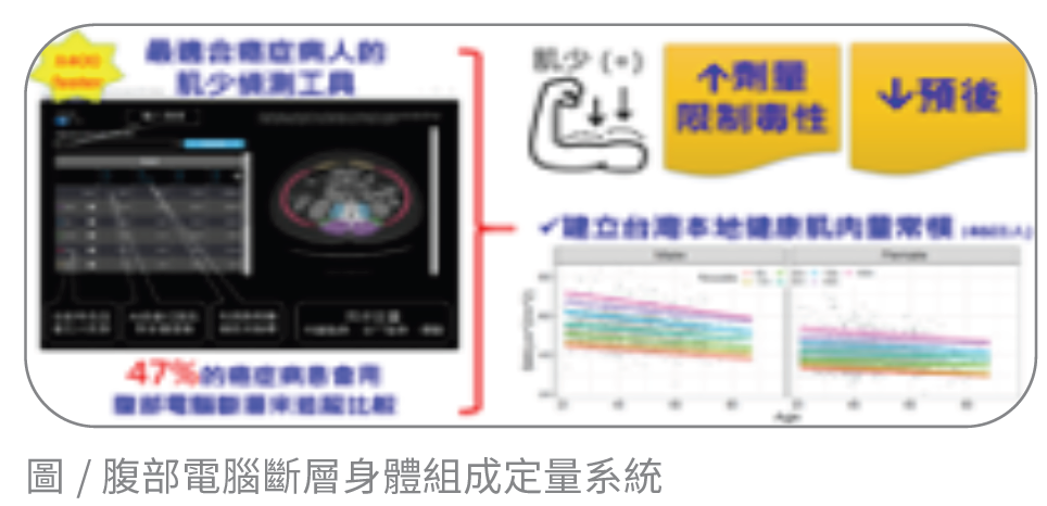 腹部電腦斷層身體組成定量系統