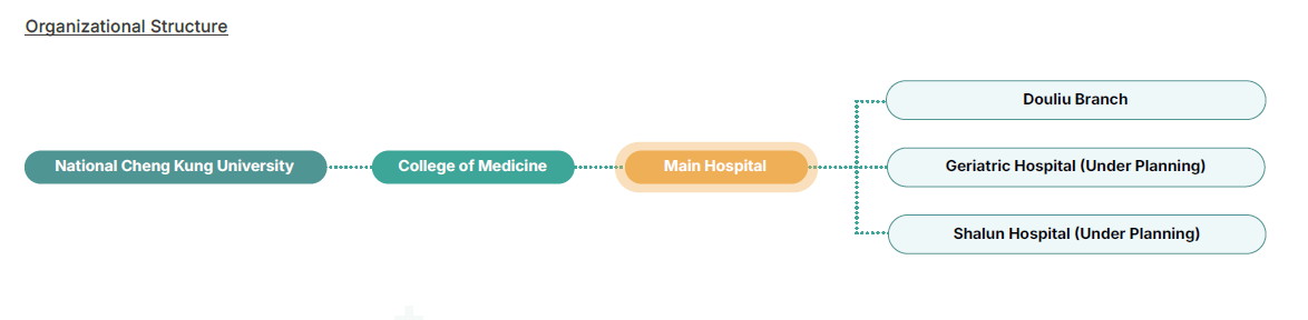 Organizational Structure